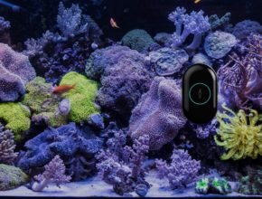 Robot nettoyeur d'aquarium Moai