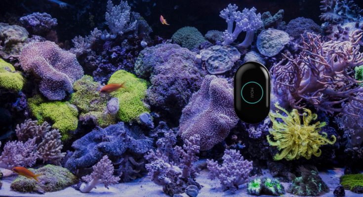 Robot nettoyeur d'aquarium Moai